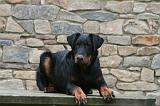 BEAUCERON 971